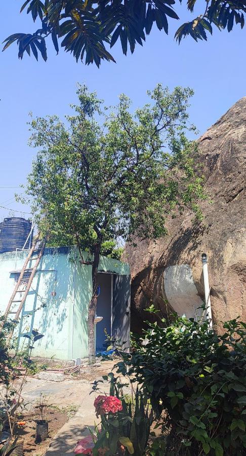 Hearthspace Hampi - Small Home, A Low-Impact Backpackers Hostel エクステリア 写真