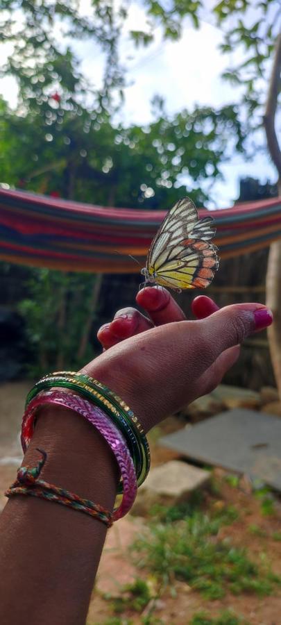Hearthspace Hampi - Small Home, A Low-Impact Backpackers Hostel エクステリア 写真